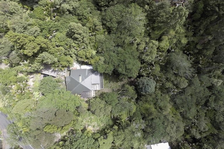 Photo of property in 40 Tanekaha Road, Titirangi, Auckland, 0604