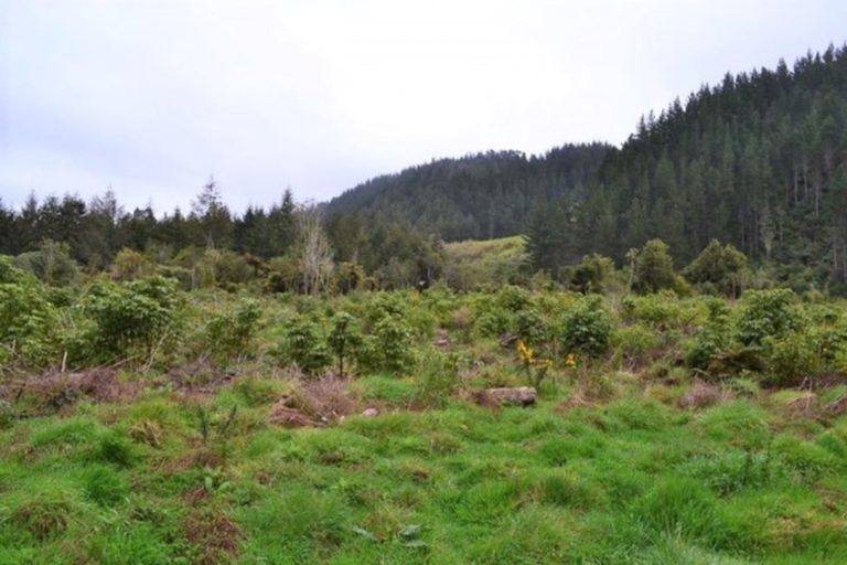 Photo of property in 867 Gladstone Road, Levin, 5571