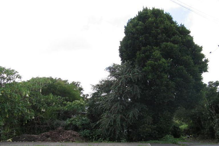 Photo of property in 259 Sturges Road, Henderson, Auckland, 0612