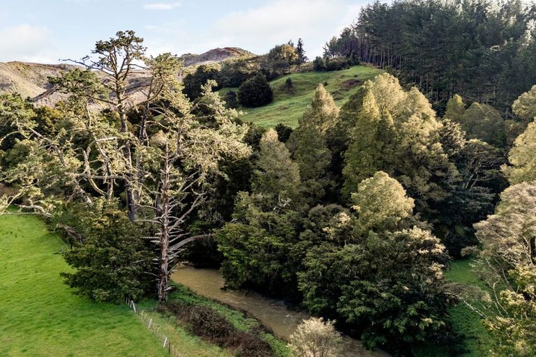 Photo of property in 2102 Waingaro Road, Waingaro, Ngaruawahia, 3793