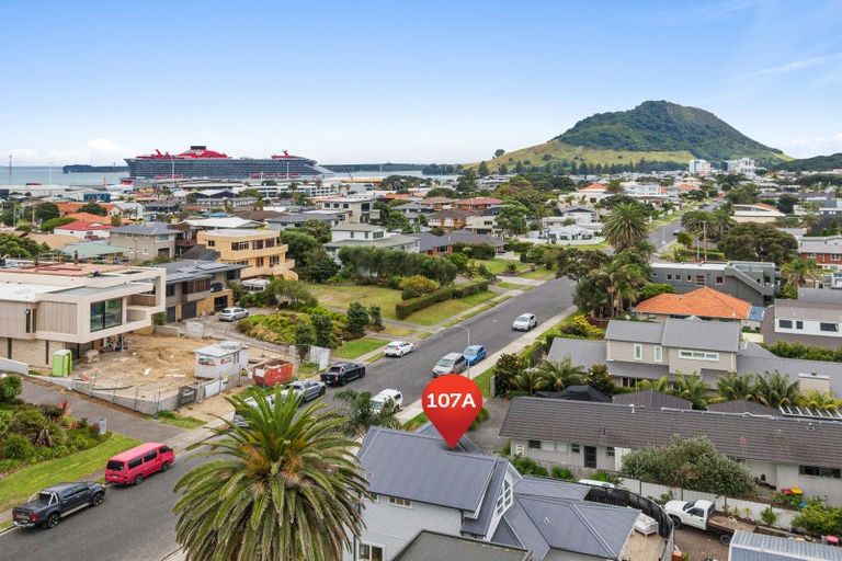Photo of property in 107a Oceanview Road, Mount Maunganui, 3116