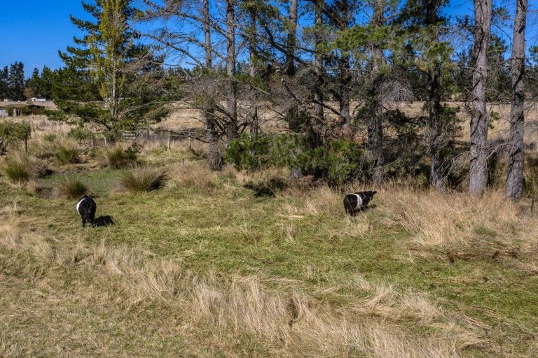 Photo of property in 155a Loburn Terrace Road, Loburn, 7472