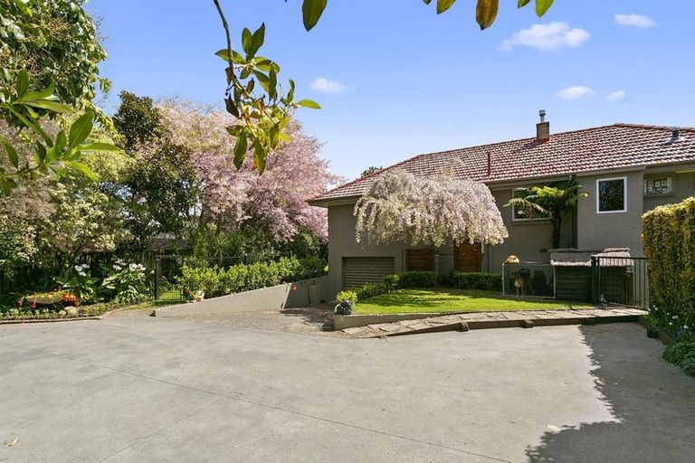 Photo of property in 201 Bridgman Road, Te Awamutu, 3800