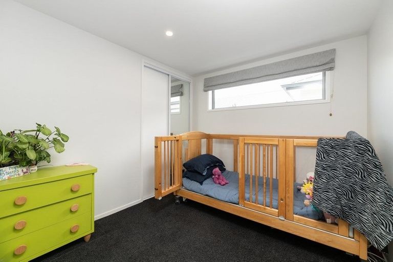 Photo of property in 6 Foley Grove, Pyes Pa, Tauranga, 3110