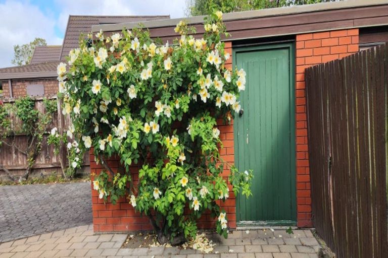Photo of property in 1/29 Solway Avenue, Ilam, Christchurch, 8041