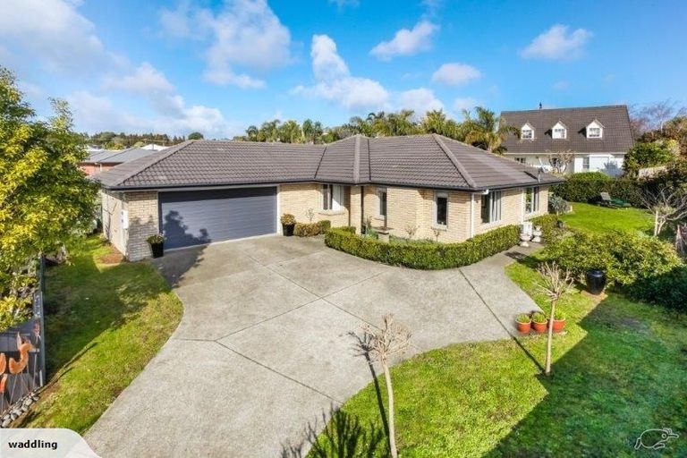Photo of property in 17 Thomas Moore Place, Pukekohe, 2120