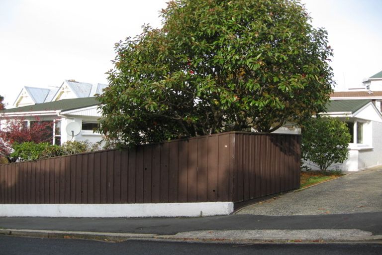 Photo of property in 16 Leven Street, Roslyn, Dunedin, 9010