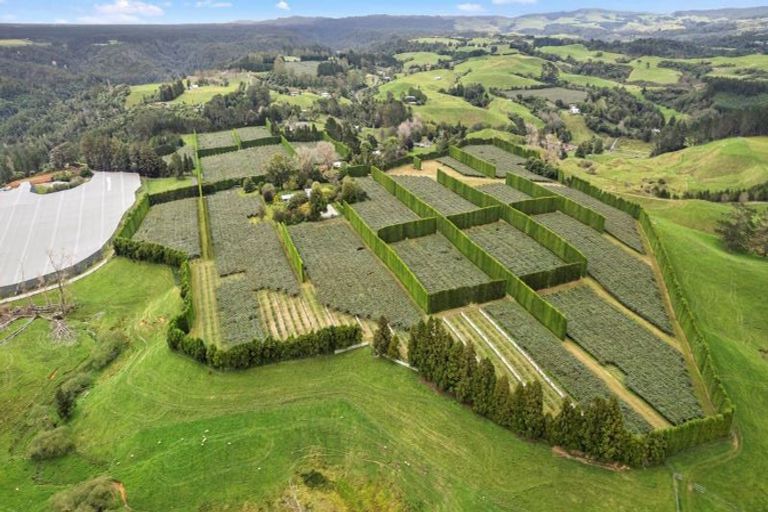 Photo of property in 43 Penmoral Lane, Lower Kaimai, Tauranga, 3171