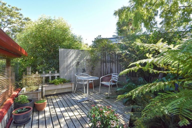 Photo of property in 7 Lynwood Avenue, Maori Hill, Dunedin, 9010