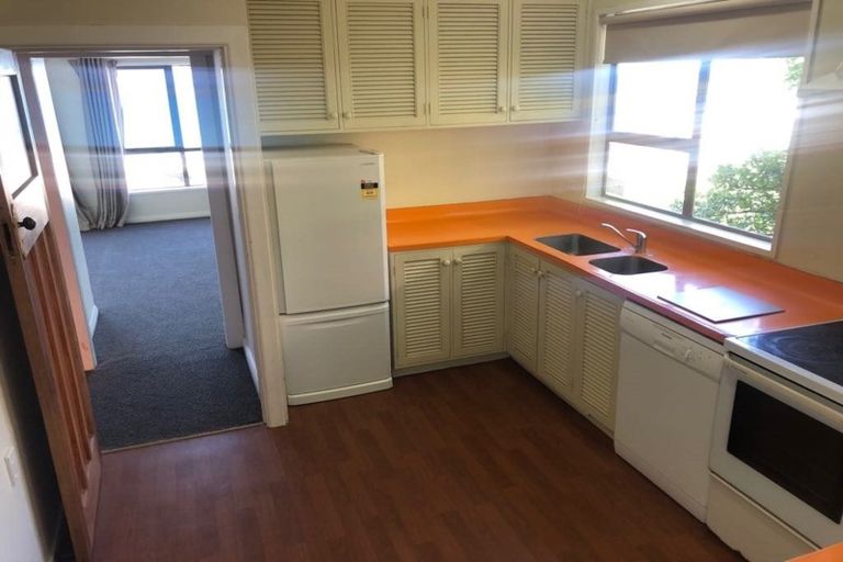 Photo of property in 53 Carlton Street, Melrose, Wellington, 6023