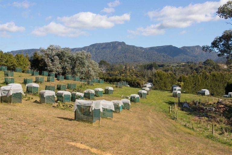 Photo of property in 470 Wright Road, Aongatete, Katikati, 3181