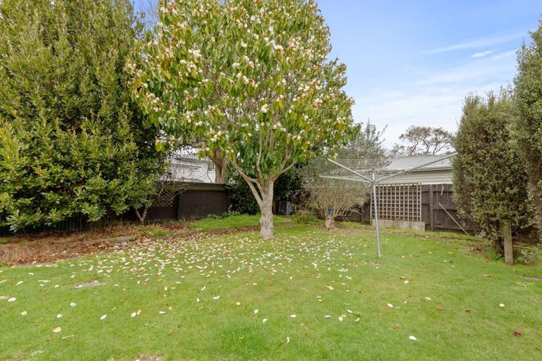Photo of property in 10 Tawa Street, Levin, 5510