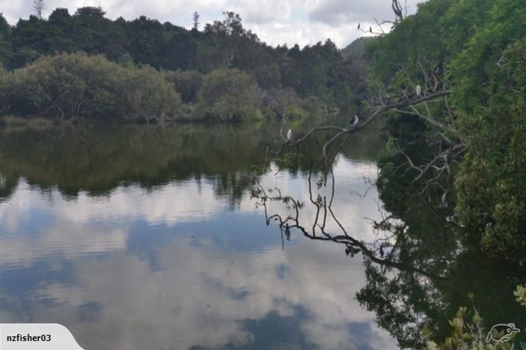 Photo of property in 49 Vale Road, Riverside, Whangarei, 0112