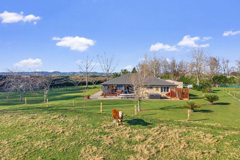 Photo of property in 9 Edgehaven Lane, Te Teko, Whakatane, 3193