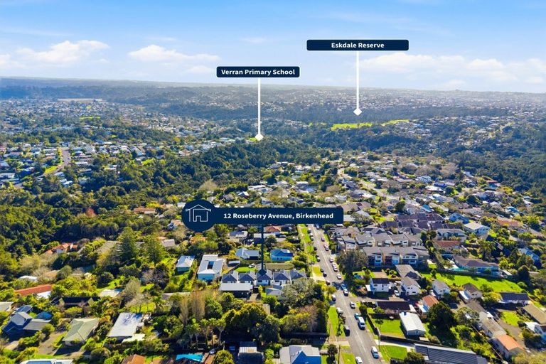 Photo of property in 12 Roseberry Avenue, Birkenhead, Auckland, 0626