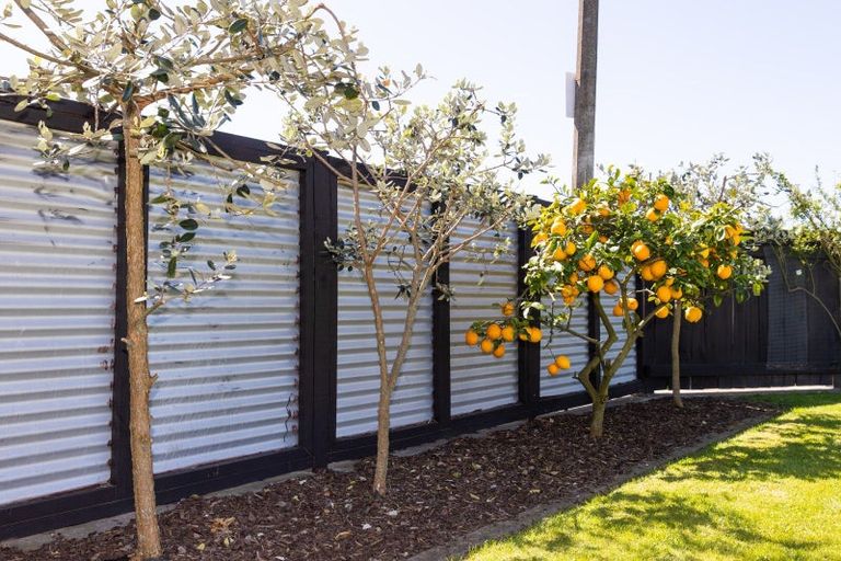 Photo of property in 1 Beveridge Place, Greenmeadows, Napier, 4112