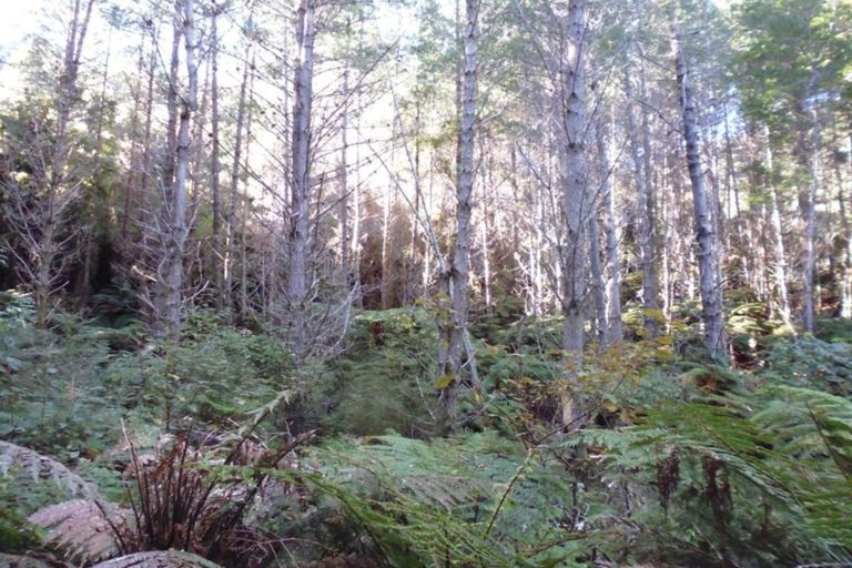 Photo of property in 1677 Takaputahi Road, Toatoa, Opotiki, 3197