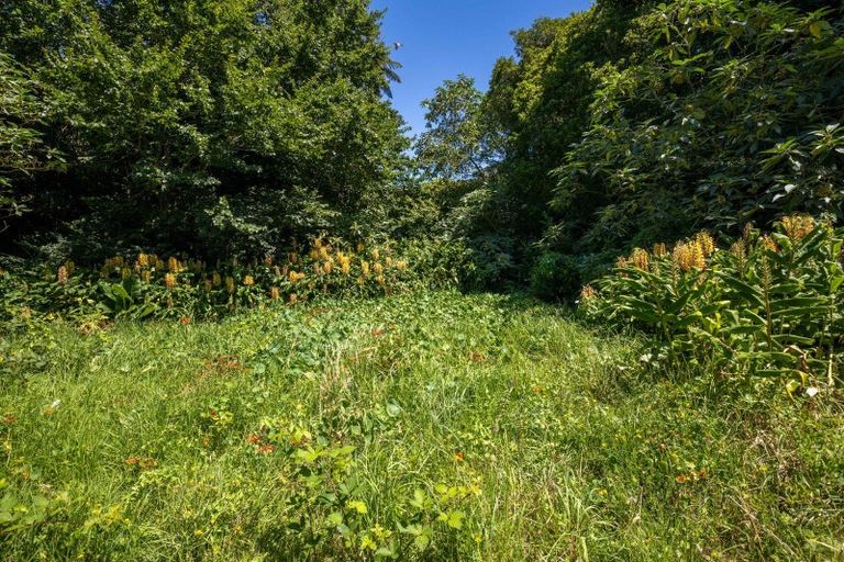 Photo of property in 17a Magnolia Drive, Westown, New Plymouth, 4310