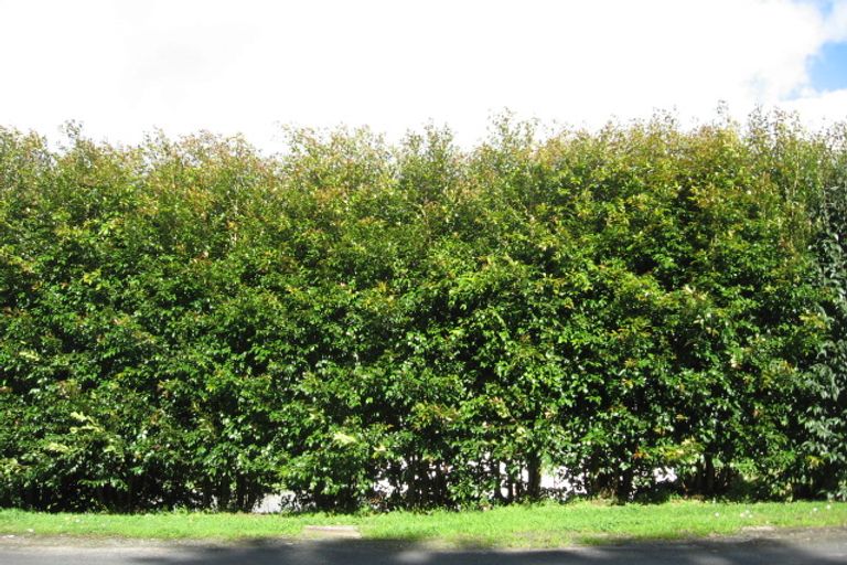 Photo of property in 34 Paranui Valley Road, Tikipunga, Whangarei, 0112