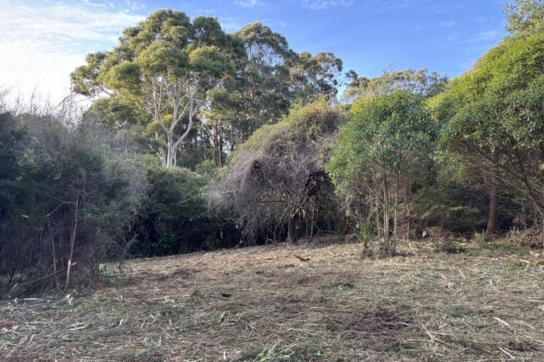 Photo of property in 40 Saddleview Place, Fairfield, Dunedin, 9076