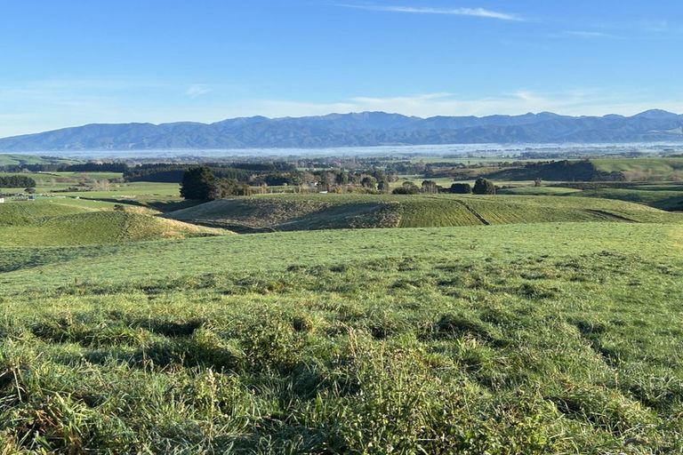 Photo of property in 14 Ranginui Drive, Kaiapoi, 7630