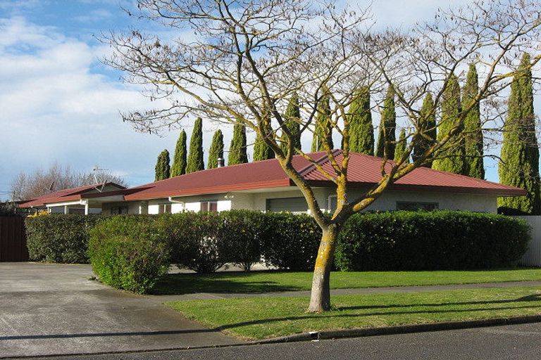 Photo of property in 423a Hemi Street, Raureka, Hastings, 4120