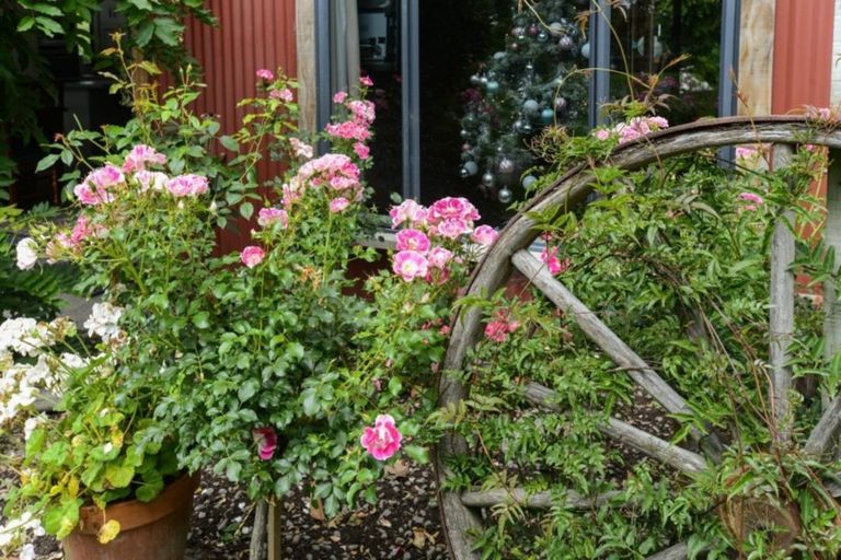 Photo of property in The Woolshed, 15 Omarunui Road, Waiohiki, Napier, 4183