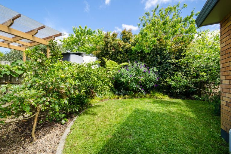 Photo of property in 14 Lesa Annis Place, Henderson, Auckland, 0612