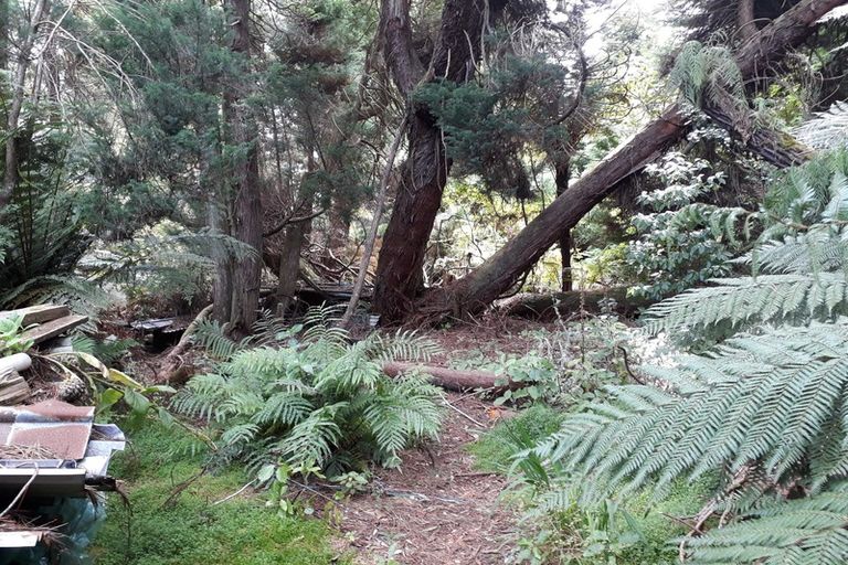 Photo of property in 332 Kaniere Road, Kaniere, Hokitika, 7811