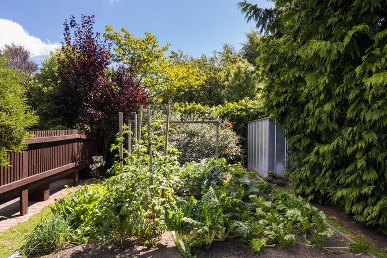 Photo of property in 15 Pirinoa Street, Feilding, 4702