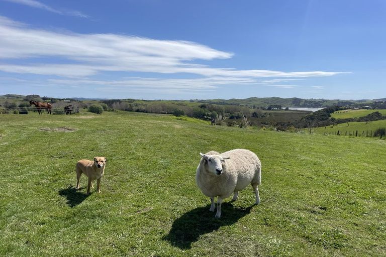 Photo of property in Dunkerron Farm, 852 Oneriri Road, Kaiwaka, 0573