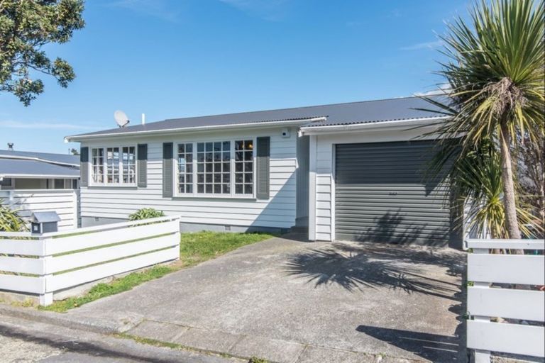Photo of property in 17 Caribou Place, Kingston, Wellington, 6021