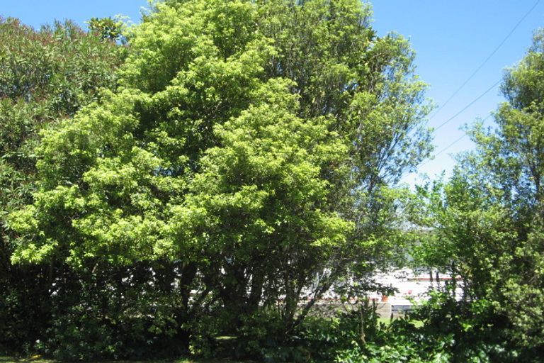 Photo of property in 17 Grigg Street, Kaitaia, 0410