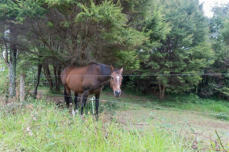 Photo of property in 896a Hikuai Settlement Road, Pauanui, Hikuai, 3579