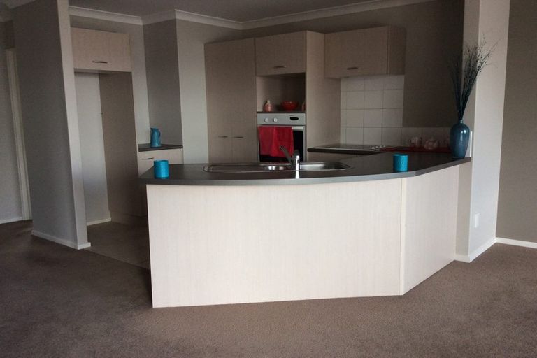 Photo of property in 438d Tristram Street, Whitiora, Hamilton, 3200