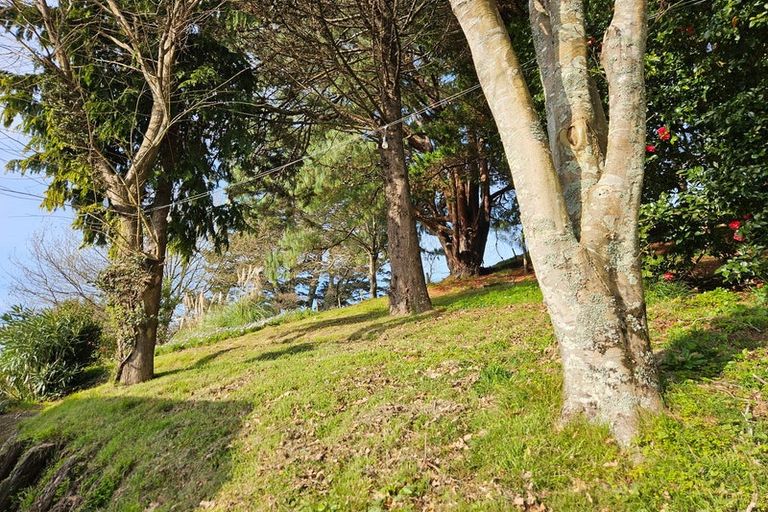 Photo of property in 16 Fairview Terrace, Paeroa, 3600