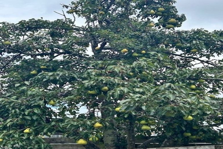 Photo of property in 31b Utauta Street, Waikanae, 5036