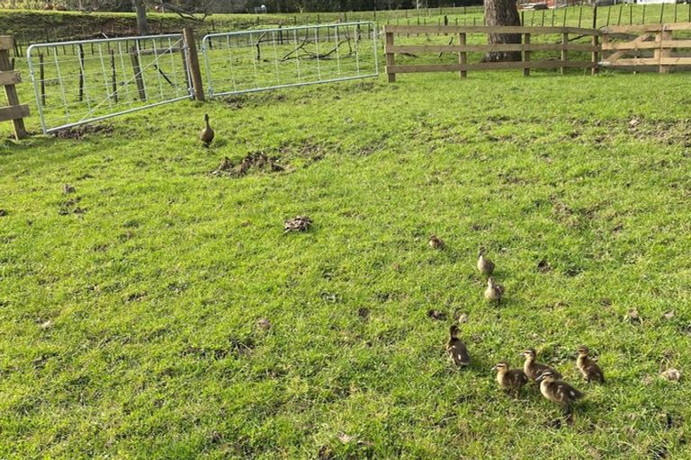 Photo of property in 88 Clark Road, Ngaruawahia, 3793