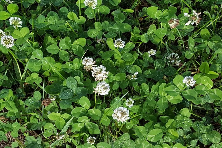 Photo of property in 2 Fantail Way, Whiritoa, Whangamata, 3691