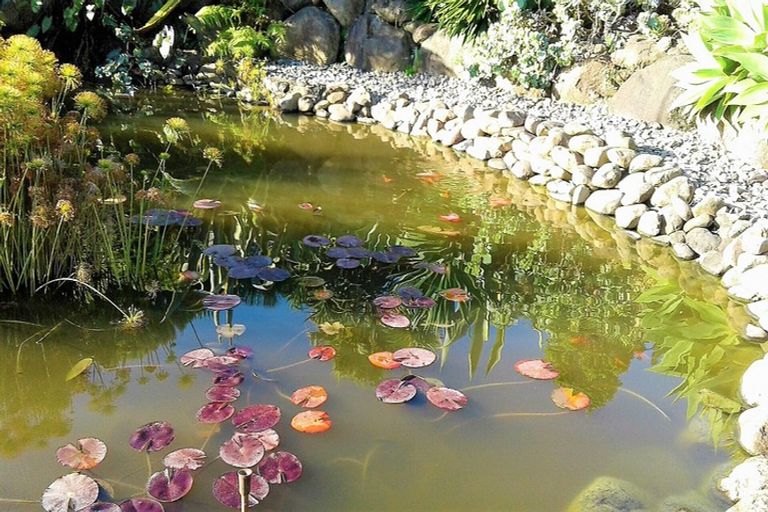 Photo of property in 71 Manning Street, Rawene, Kaikohe, 0473