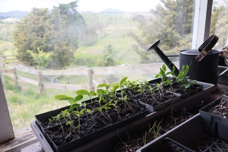 Photo of property in 7 James Road, Maungaturoto, 0587