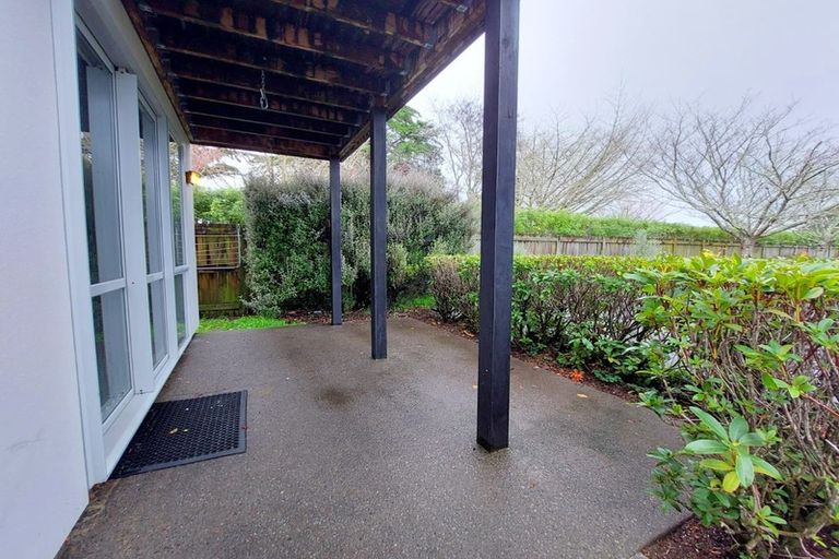 Photo of property in 244 Clyde Street, Hamilton East, Hamilton, 3216