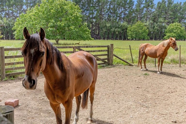 Photo of property in 180 Paierau Road, Opaki, Masterton, 5881