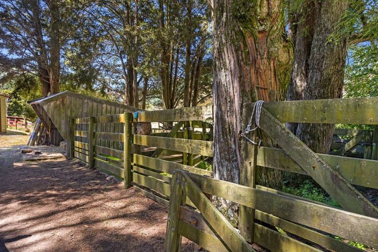 Photo of property in 44 Wairoa Gorge Road, Wairoa Valley, Brightwater, 7091