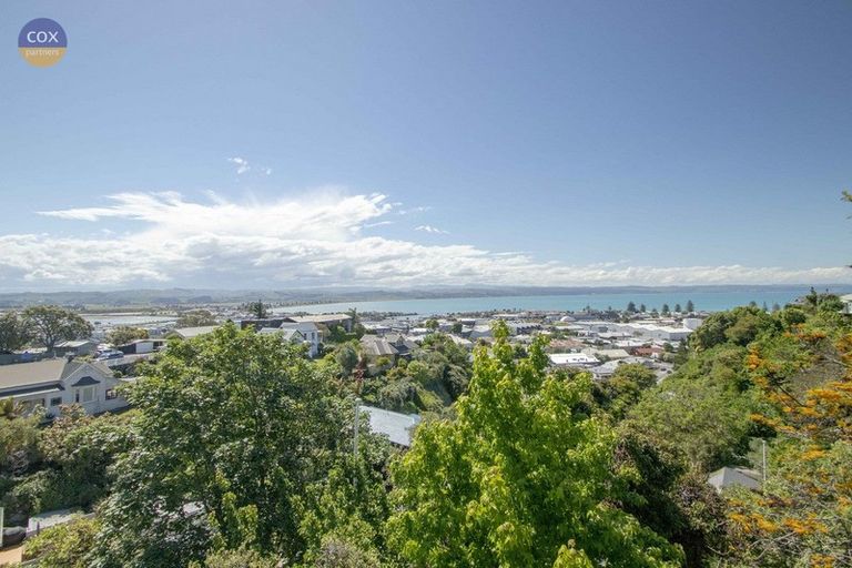 Photo of property in 23 Denholm Road, Hospital Hill, Napier, 4110