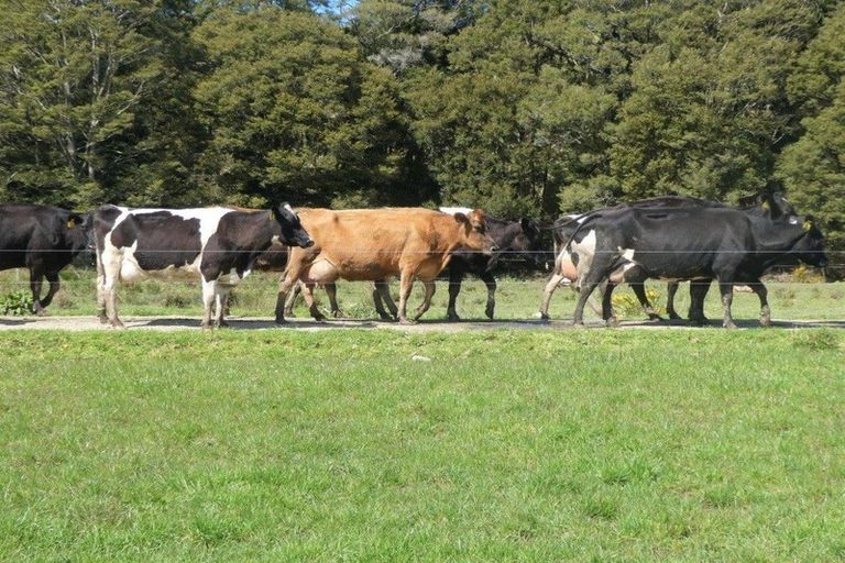 Photo of property in 738 Browns Creek Road, Inangahua, Reefton, 7895