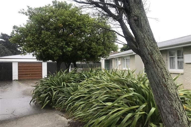 Photo of property in 12a James Foley Avenue, Pirimai, Napier, 4112