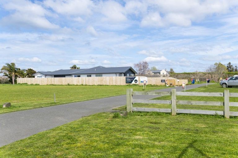 Photo of property in 10 Allan Avenue, Makauri, 4071