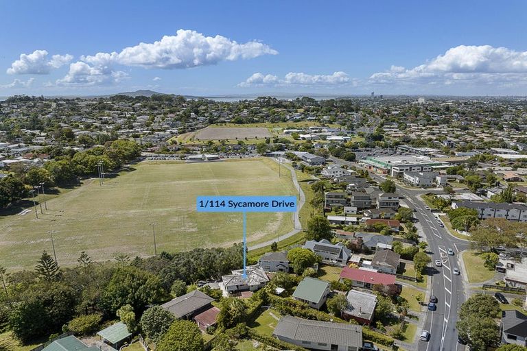 Photo of property in 1/114 Sycamore Drive, Sunnynook, Auckland, 0620