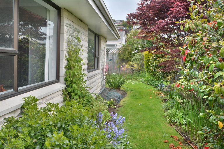 Photo of property in 119b Fitzroy Street, Forbury, Dunedin, 9012